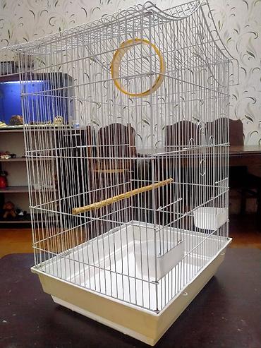 Зоотовары: Salam. Qefes satilir. Tezeden secilmir. Iri qefesdi. Icinde 1 yox — 3