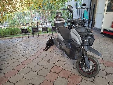 gilera runner: Макси-скутер Tank, 160 куб. см, Бензин, Б/у — 4