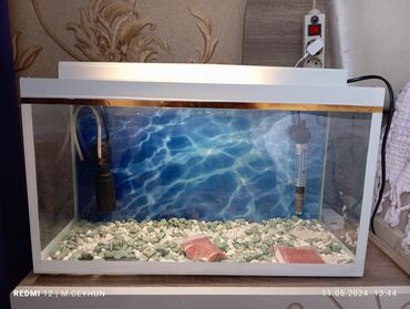 ev heyvanlarının satışı: Akvarium satılır.su filtirdi, su termometri işıqlandırmaq üçün lampa