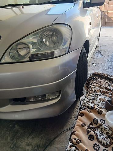 range river: Toyota Ipsum: 2003 г. — 1