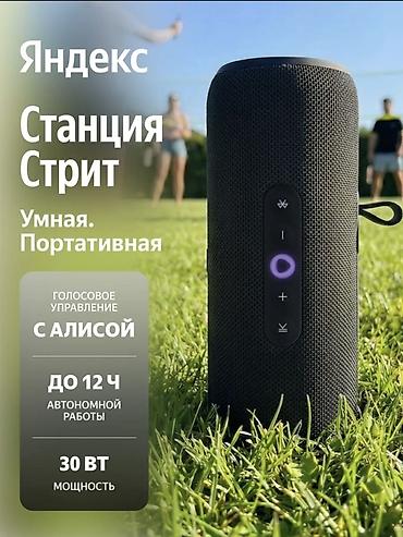 усилитель с колонкой: Яндекс Станция Стрит — умная колонка, которую можно брать с собой! — 2