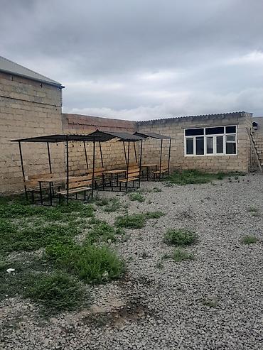 gence obyek: Satilir tecili.: Təndir çörəyi və kafe fəaliyyəti üçün hazır obyekt - — 6
