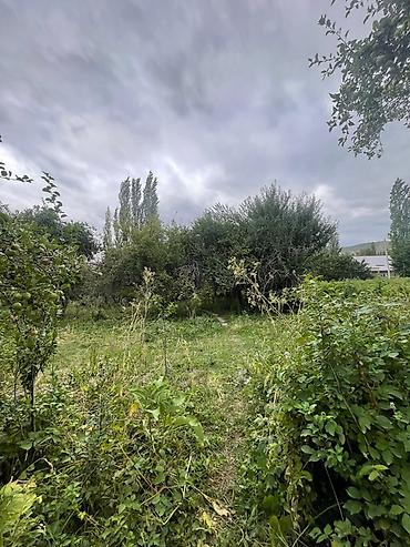 1 bedroom: 30 соток, Для сельского хозяйства, Договор купли-продажи, Красная книга, Тех паспорт — 6