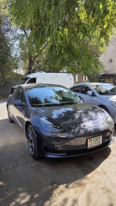 byd dolphin: Tesla Model 3: 2023 г., Автомат, Электромобиль, Седан — 3