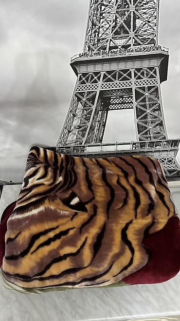 Текстиль: Плед, Турция, Б/у, Все сезоны, Плюшевый — 2