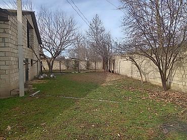 Torpaq sahələrinin satışı: Kənd təsərrüfatı — 3