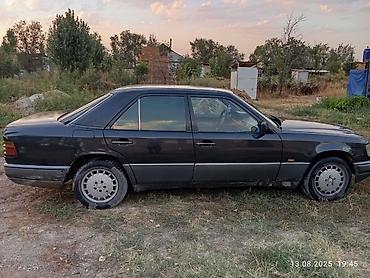 discovery 3: Mercedes-Benz W124: 1995 г., 2.9 л, Автомат, Дизель, Седан — 4