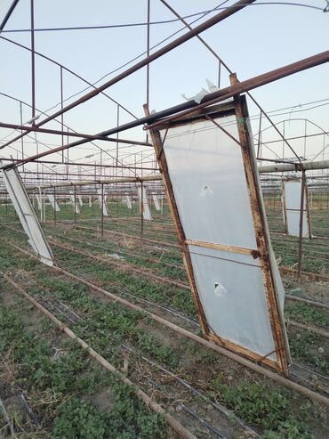 lavanda qiymeti: Parnik fortuşqasi 110 eded. Şemkir. Fortusqada profil 14 metr 2×4