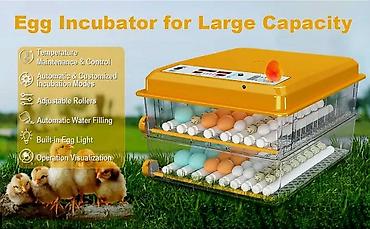 hayvan satış: Yeni tam avtomatik inkubator 120 yumurta.Akumlyator 12V qoşulma — 5