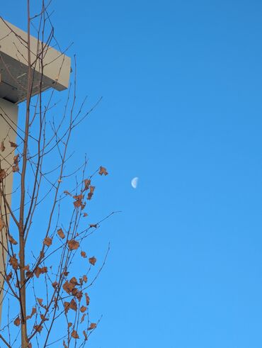 Google: Google Pixel 7 Pro, Б/у, 128 ГБ, цвет - Черный, 2 SIM, eSIM — 10