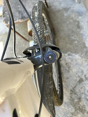 İdman velosipedləri: ZIGZAG dağ velosipedi -29” təkər ölçüsü üçün - Asqı: ön amortizator — 3