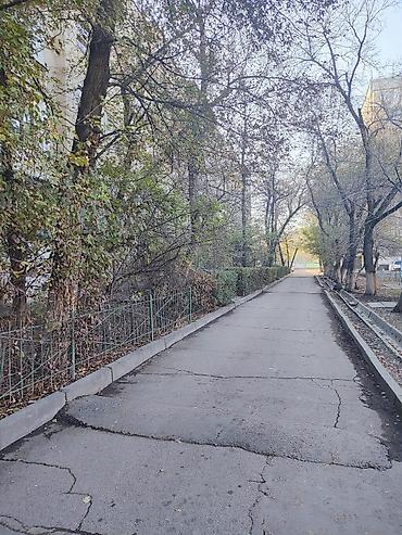 Продажа квартир: 1 комната, 35 м², 105 серия, 1 этаж, Косметический ремонт at lalafo.kg — 9 Продажа квартир: 1 комната, 35 м², 105 серия, 1 этаж, Косметический ремонт — 9