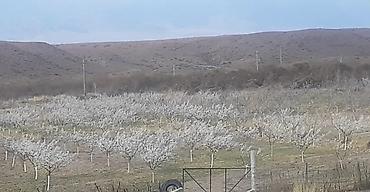 Продажа коттеджей и домов: 7ПРОДАЁТСЯ НОВЫЙ ДОМ из кирпича на ИССЫК-КУЛЕ + 7 га ЗЕМЛИ — 16