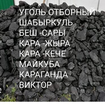 купить уголь шабыркуль в бишкеке: Уголь уголь уголь уголь уголь уголь уголь уголь уголь уголь уголь