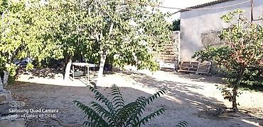bartee: 2 sot, Tikinti, Mülkiyyətçi, Kupça (Çıxarış) — 3