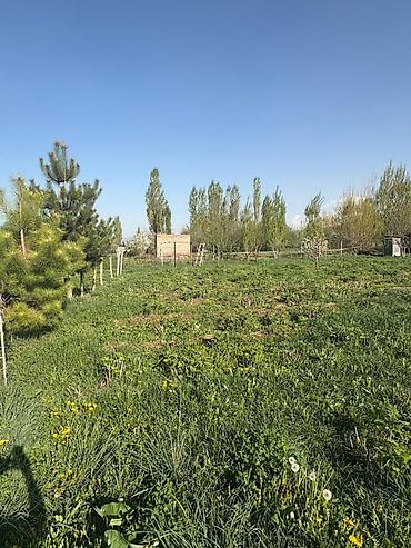 токмок пакровка дом купит: 15 соток, Для строительства, Красная книга, Договор купли-продажи — 4