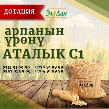 Уруктар жана көчөттөр: Уруктар: Арпа, Өзү алып кетүү