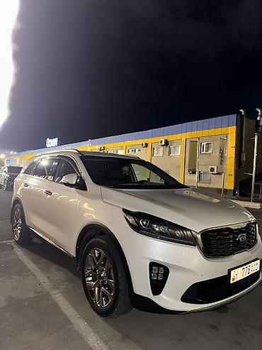 Kia: Kia Sorento: 2019 г., 2 л, Автомат, Дизель, Кроссовер — 12