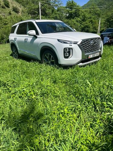 Hyundai: Hyundai Palisade: 2019 г., 0.1 л, Автомат, Бензин, Внедорожник