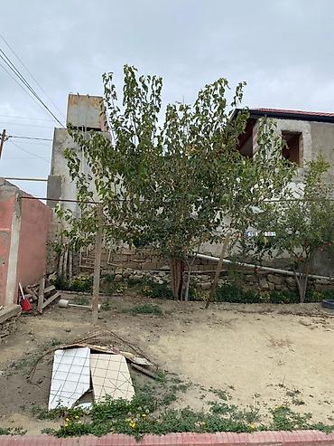 nerd satışı: 2 sot, Biznes üçün, Mülkiyyətçi, Bələdiyyə — 3