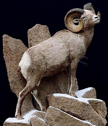 Другие товары для дома и сада: Принимаем заказ — 7