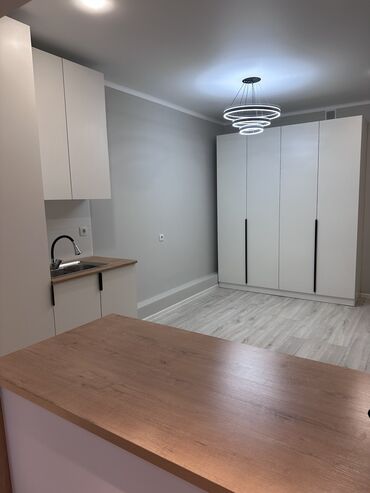 сдаю квартира район шлагбаум: 1 комната, 27 м², Элитка, 3 этаж, Евроремонт