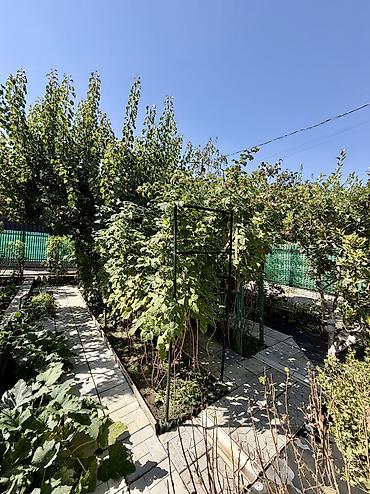 Продажа дачи: 3 комнаты, 88 м², 6 соток, Септик, Холодная вода, Электричество — 30