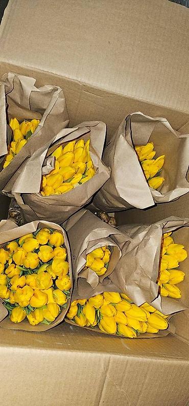 Другие садовые цветы и кустарники: В наличии Тюльпаны🌷💐 имеются в ярких и разных цветах . также есть — 9