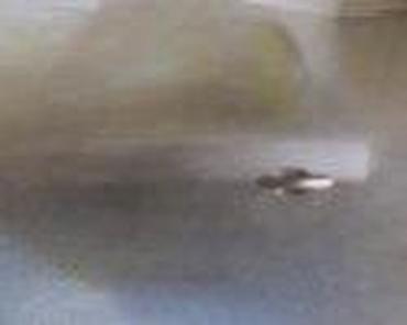 auto plac senta: ZADNJA LEVA VRATA HEČBEK ZA FORD FOCUS OD 2004. DO 2007. GOD. | — 2