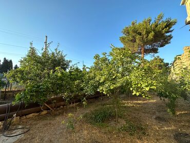 Həyət evləri və villaların satışı: Bakıxanov qəs. 9 otaq, 400 kv. m, Yeni təmirli — 7