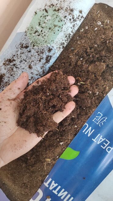 torf satışı: Torf gubresinn satişi Xarcden getrrik 250 litr 50 azn torf 7kq