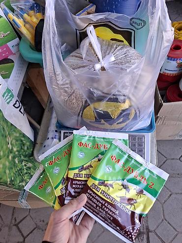 Другие стройуслуги: Газон Под ключ Посев газон 
ландшафтный дизайн сеем
газон — 8