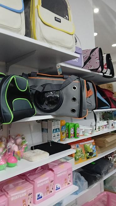 Pişiklər: Erkək, Pulsuz çatdırılma — 20