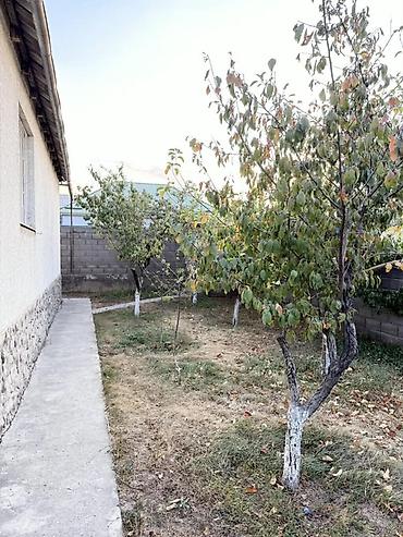 учас: 84 соток, Курулуш, Кызыл китеп — 6