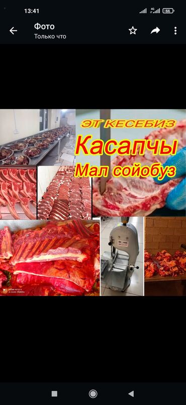 касапчы токмок: Көчмө банкеттер | Касапчы