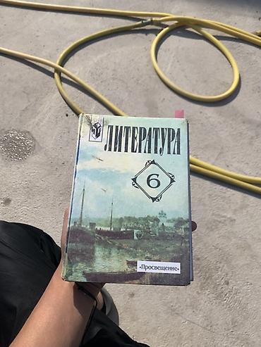 Учебники для школы (на фото): - Литература, 6 класс. Издательство