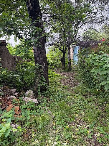 Bağ evlərinin satışı: Şəki, 82 kv. m, 3 otaqlı, Hovuzsuz, Su — 3