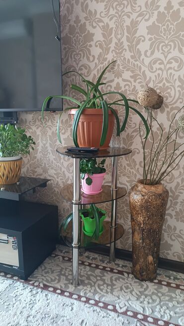 Этажерки для цветов: Стеклянная подставка для растений с тремя круглыми полками из — 2