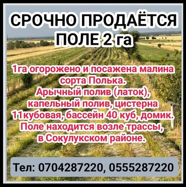 продаю пол дома в бишкеке: 2000 соток, Для бизнеса, Договор купли-продажи