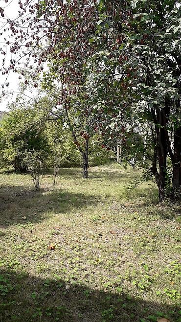 1 gunluk kirayə bağ evləri: 100 kv. m, 1 otaqlı, Hovuzsuz — 10