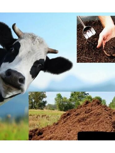 Перегной, навоз: В тоннах, Портер, Зил, Камаз — 12