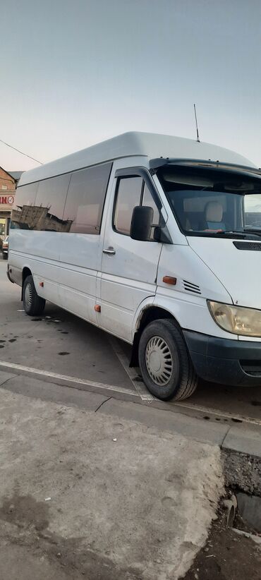 Mercedes-Benz: Mercedes-Benz Sprinter: 2004 г., 2.9 л, Механика, Дизель, Бус