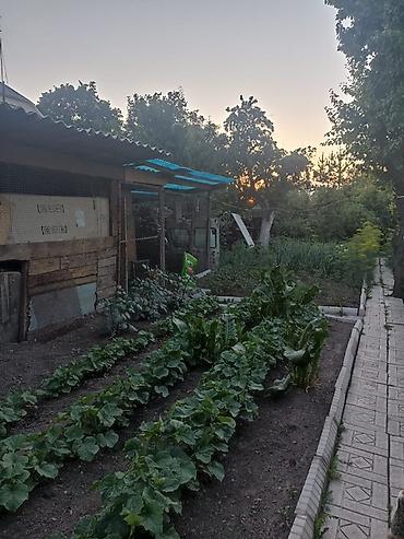 Продажа коттеджей и домов: Продаётся жилой дом с благоустроенными помещениями. - Кухня — 26