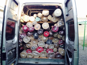 Xalçaların yuyulması: Xalçaların yuyulması | Xalçalar Pulsuz çatdırılma — 6