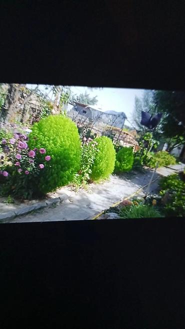 Продажа коттеджей и домов: Продается дом жилой с отоплением умная печка сарай Баня в принципе со — 20