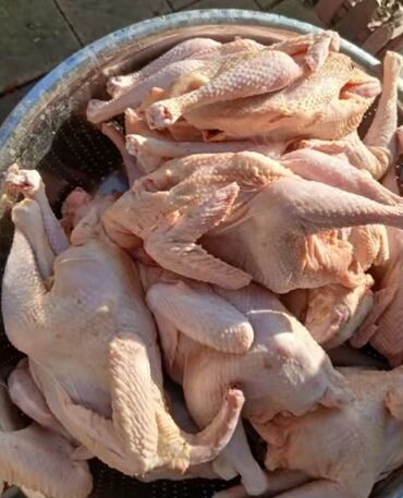 Quş: Məhsul: Təmizlənmiş kənd toyuqları (tam karkas) Təsvir: - Şəkillərdə — 11
