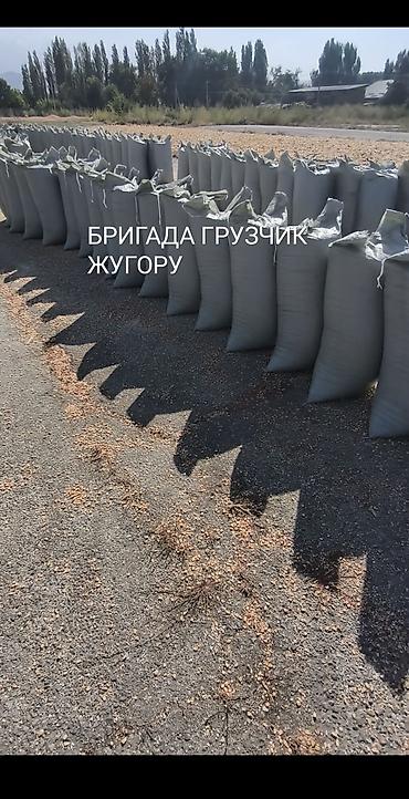 фикс токмок: Ассалому Алейкум ЖУГОРУ МУШОКТОП ЖУКТОЙБУЗ 30тоннадан Жогору Бишкек — 2