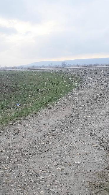 Torpaq sahələrinin satışı: 20000 sot, Kənd təsərrüfatı, Kupça (Çıxarış) — 7