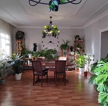 Продажа домов: 4 комнаты, 159 м², 6 соток, Бишкек, Рынок Баят/Азиз Собственник — 2