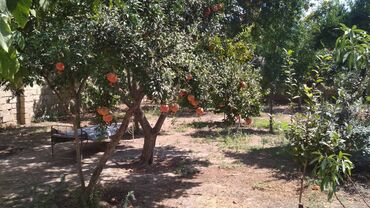 Həyət evləri və villaların satışı: 3 otaqlı, 135 kv. m, Orta təmir — 23